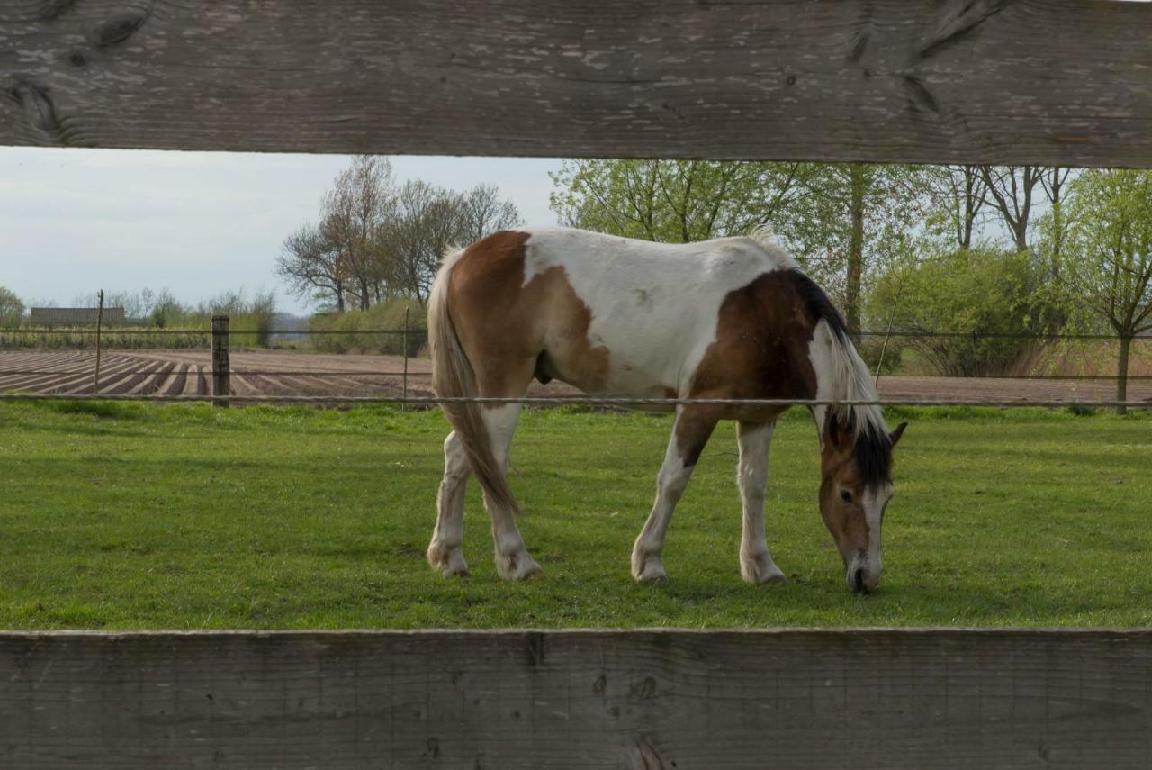 Boeren Biezen Bed Landelijk Villa Exterior foto