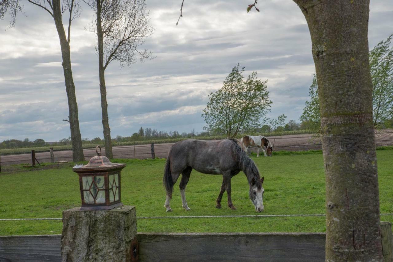 Boeren Biezen Bed Landelijk Villa Exterior foto