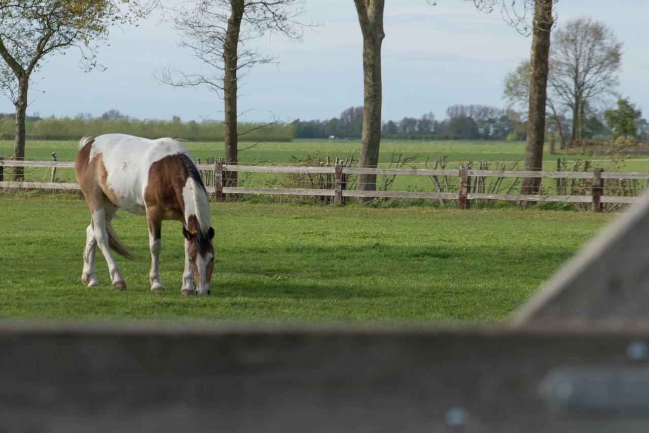 Boeren Biezen Bed Landelijk Villa Exterior foto